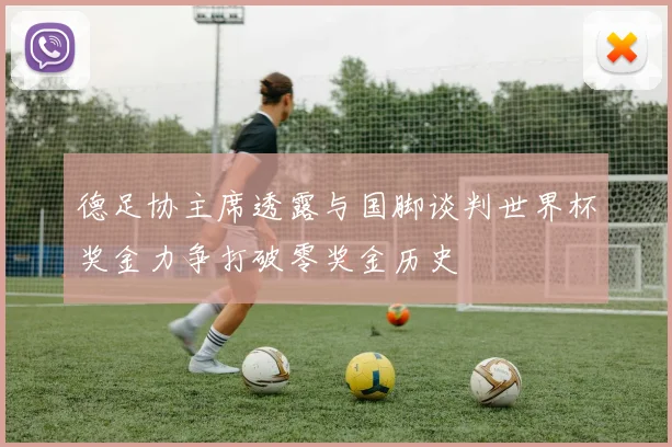 德足协主席透露与国脚谈判世界杯奖金力争打破零奖金历史