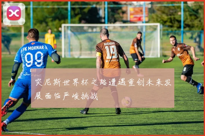 突尼斯世界杯之路遭遇重创未来发展面临严峻挑战