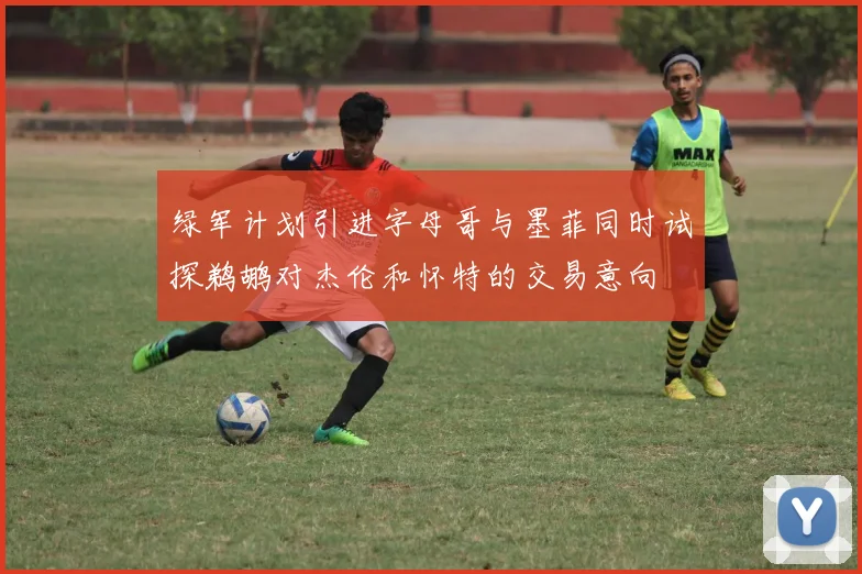 绿军计划引进字母哥与墨菲同时试探鹈鹕对杰伦和怀特的交易意向