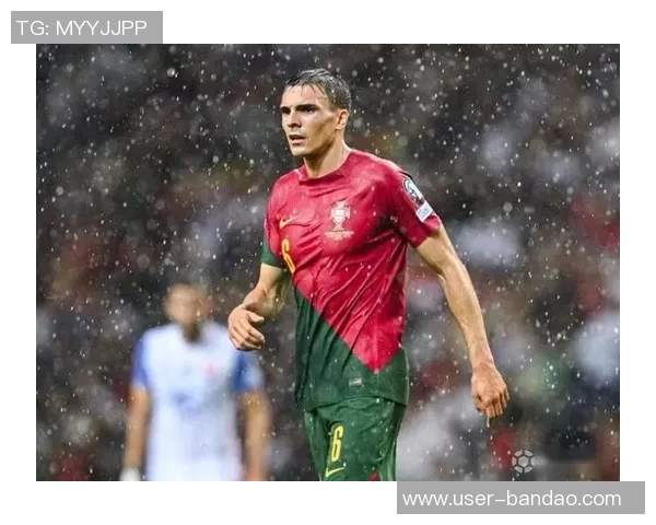 英超抢断之王帕利尼亚本赛季已完成39次抢断领跑全联盟 英超抢断之王帕利尼亚本赛季已完成39次抢断领跑全联盟