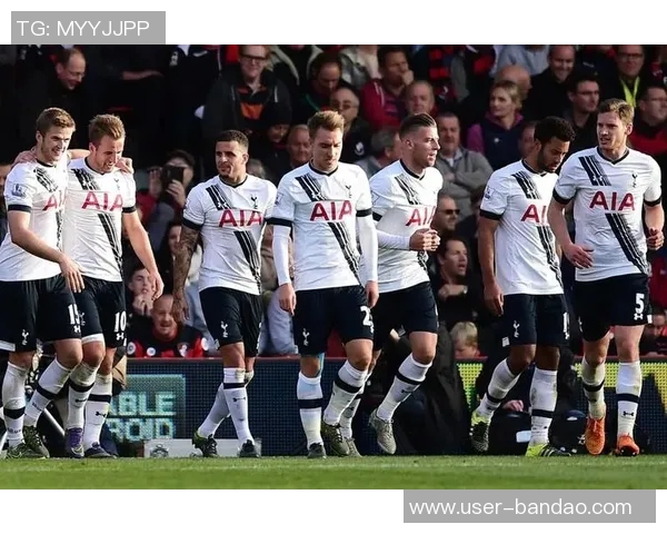 热刺与罗斯柴尔德公司合作终止强调俱乐部不考虑出售事宜